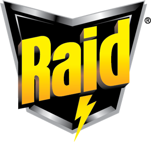 raid